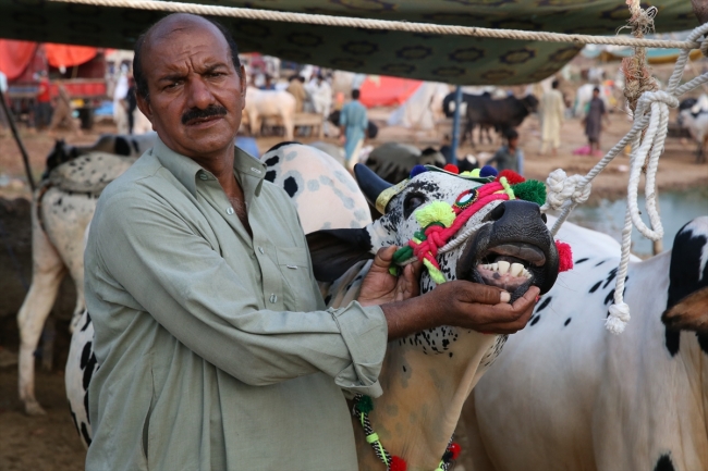 Pakistan’da kurban pazarları rengarenk